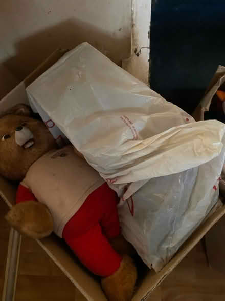 Photo of free Christmas musical ornaments (Bilston WV14) #2