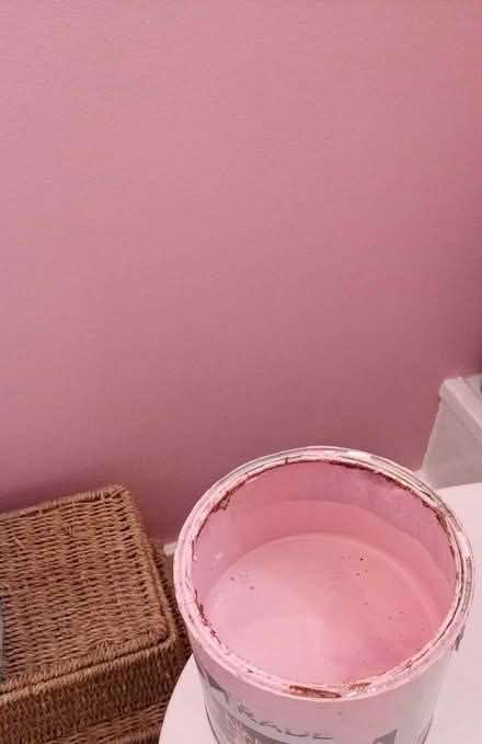 Photo of free Eggshell Paint 'Cherry Plum' (LE8 5AH) #1