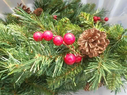 Photo of free Christmas garlands (Baldslow TN37) #1