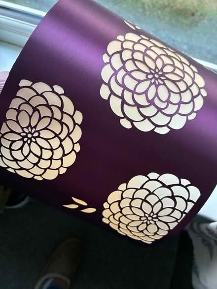 Photo of free Light shade (Wisewood S6) #2