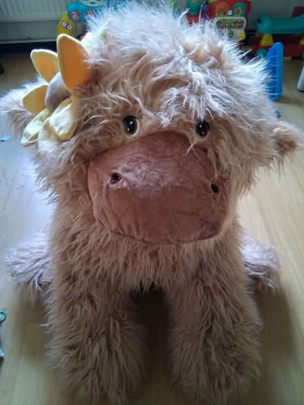 Photo of free Goose fair prize brand new with tag huge teddy (Bulwell NG6) #1