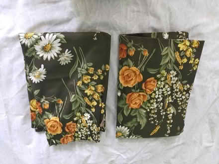 Photo of free Curtains (Roehampton SW15) #1