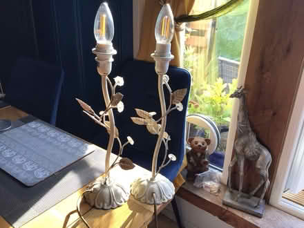 Photo of free Bedside lamps (Torquay TQ1) #1