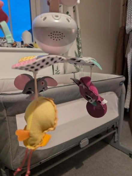 Photo of free Chicco Next2Me Baby Cot (Boxted CO4) #2