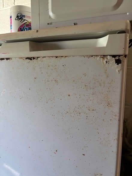 Photo of free Beko Fridge (SK17 Buxton) #2
