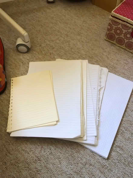 Photo of free Lined/graph paper (Packsaddle BA11) #1