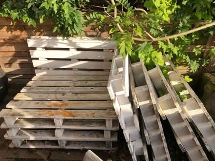 Photo of free 8 pallets (Newfield Green S14) #1
