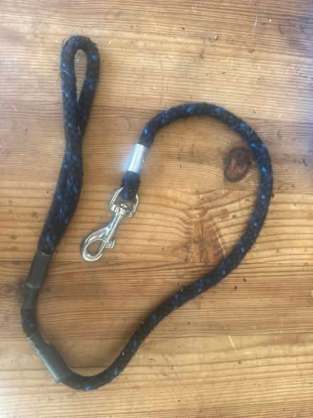Photo of free Dog lead (BN8) #1