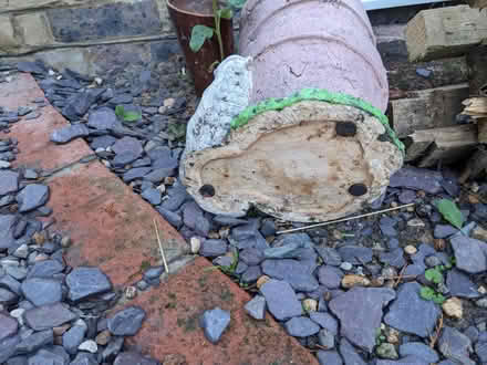 Photo of free Plant pot (Staplehurst TN12) #4
