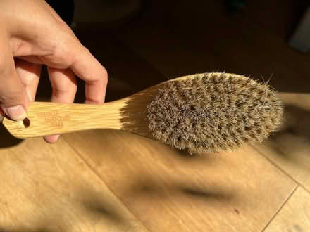 Photo of free Dog brush (CR2) #1