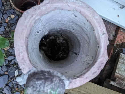 Photo of free Plant pot (Staplehurst TN12) #3