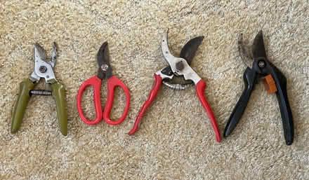 Photo of free Four Pairs of Secateurs (Bognor Regis PO21) #1