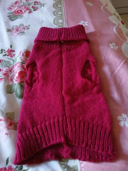 Photo of free Very small dog jumper (S2 lower manor) #2