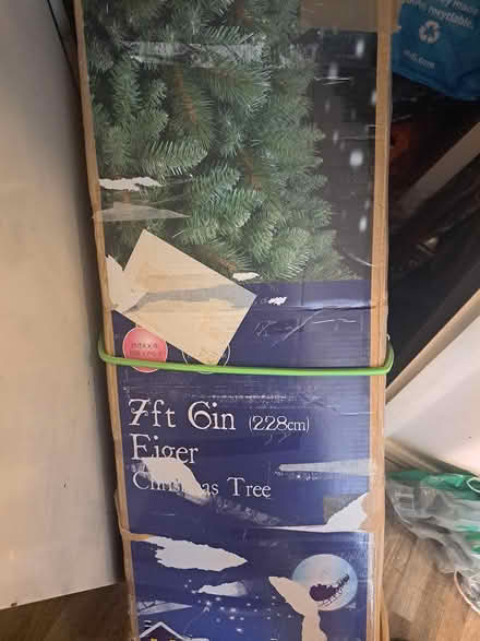 Photo of free Christmas tree ect (Old colwyn) #2