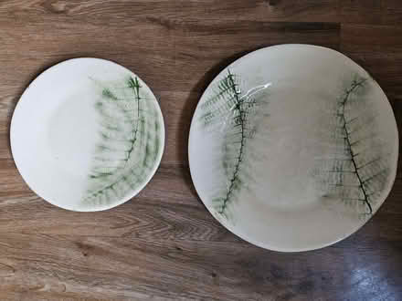 Photo of free 4 side plates, 2 dinner plates, fern pattern (Kings Heath B14) #1