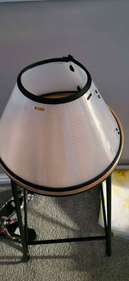 Photo of free Pet Collar (Upton Priory SK10) #2