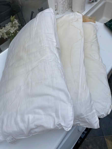 Photo of free Old pillows (Chalfont St Peter SL9) #1