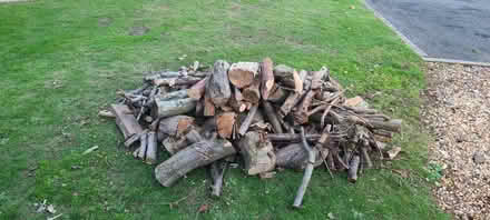 Photo of free Logs (Essington WV11) #1