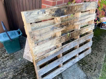 Photo of free Wooden Pallet (Brightwell cum Sotwell) #1