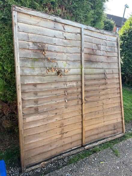 Photo of free Fence panel (warwick CV34) #1
