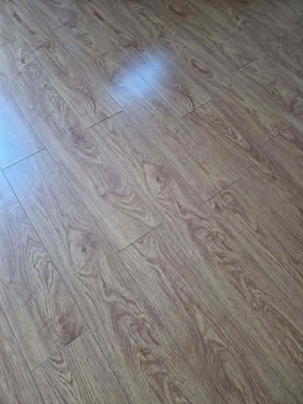 Photo of free Unused pack laminate flooring (North Sheen TW9) #2