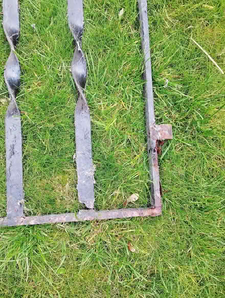 Photo of free Traditional Iron Garden Gate (Henleaze Ward BS9) #2