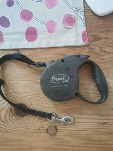 Photo of free Extendable dog lead (Vale LA1) #1