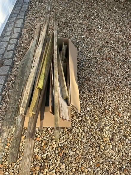 Photo of free Old wood (North Moreton OX11) #1