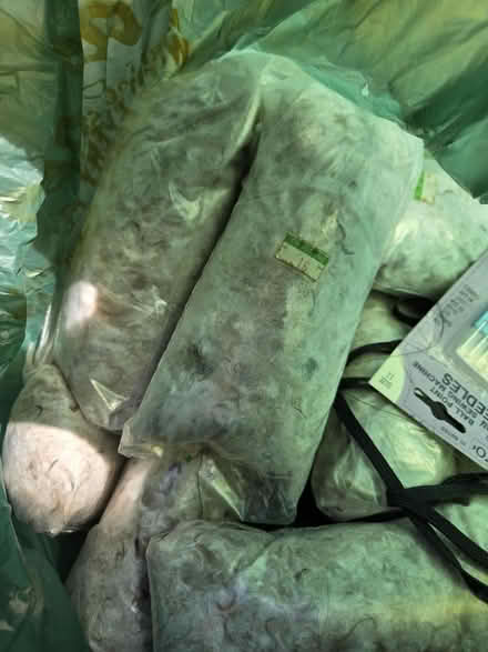 Photo of free Frostline kit + Down (El Sobrante) #1