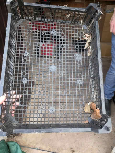 Photo of free Tray for mushrooms? (Taunton) #1