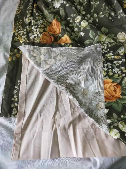 Photo of free Curtains (Roehampton SW15) #2