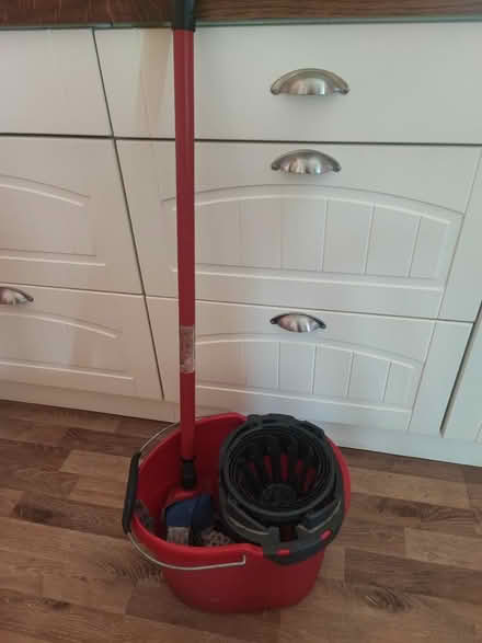 Photo of free Vileda mop and bucket (Heathfield TN21) #1