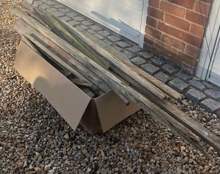 Photo of free Old wood (North Moreton OX11) #3