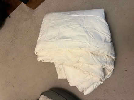 Photo of free Pet bedding? Double duvet (Curridge RG189) #1