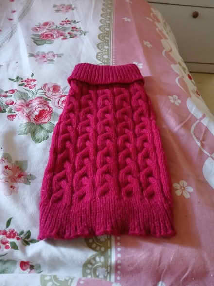 Photo of free Very small dog jumper (S2 lower manor) #1