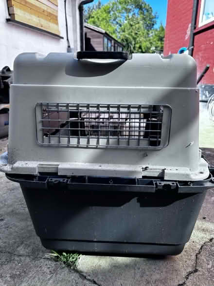Photo of free Pet ( Dog) carrier (HA9 Wembley park) #1