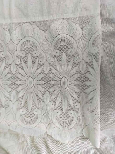 Photo of free Net curtain (Roehampton SW15) #2