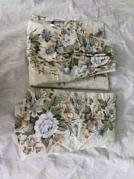 Photo of free Curtains (Roehampton SW15) #1