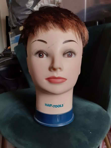 Photo of free Model (Bury BL9) #1