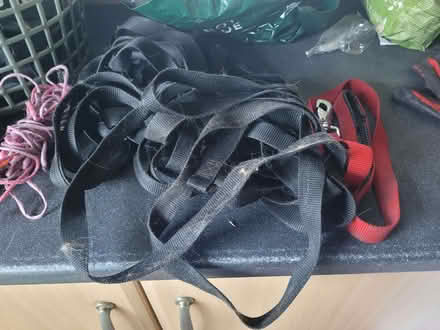 Photo of free Yoghurt maker. Nutublitzer. Long lead (Balwest TR13) #3