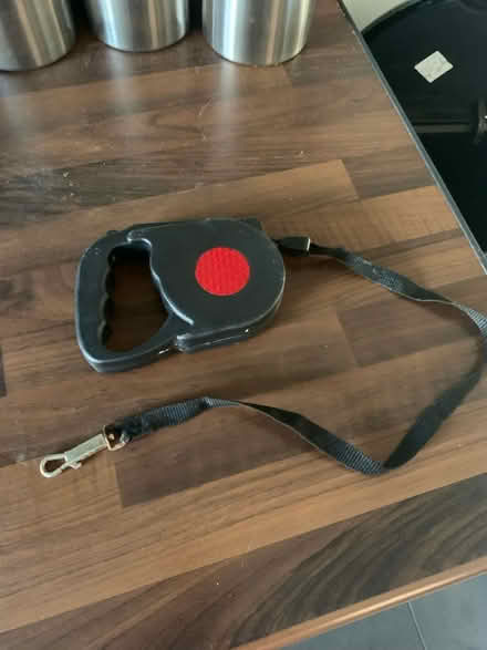 Photo of free Dog lead (M32) #1