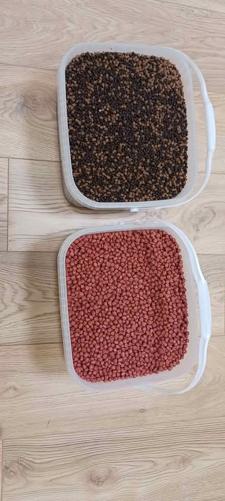 Photo of free pond fish food (Clavering CB11) #1