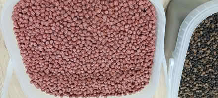 Photo of free pond fish food (Clavering CB11) #2