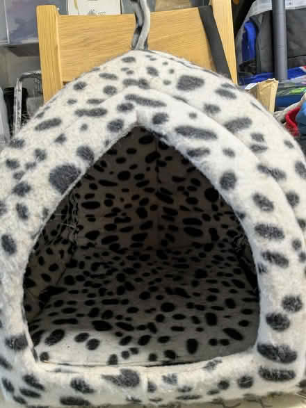Photo of free Cat igloo (Newcastle Under Lyme) #2