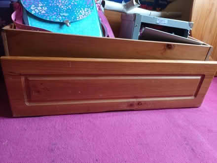 Photo of free Teddy bear bed (Derby DE73) #4