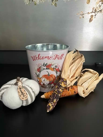 Photo of free Fall Decor Bundle (Bridgeport, Kitchener) #1