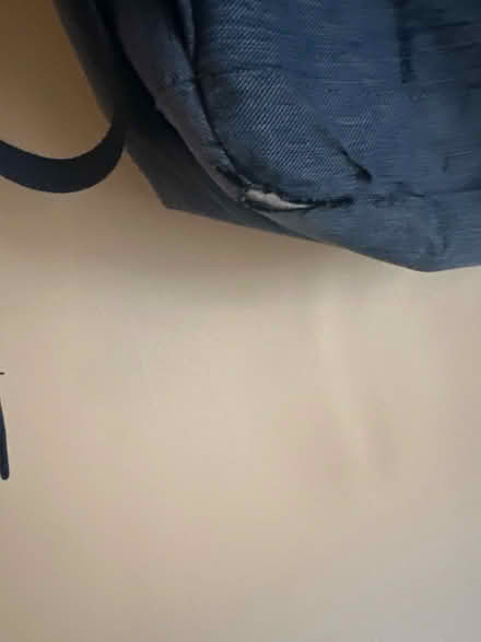 Photo of free Herschel (Brentford TW8) #3