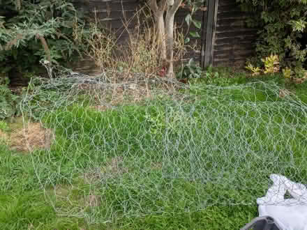 Photo of free Chicken wire (Taunton) #1