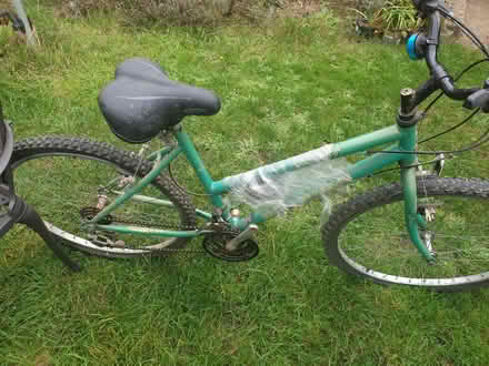 Photo of free Green Raleigh Bicycle (shed find) (Frimley Green (GU16)) #2