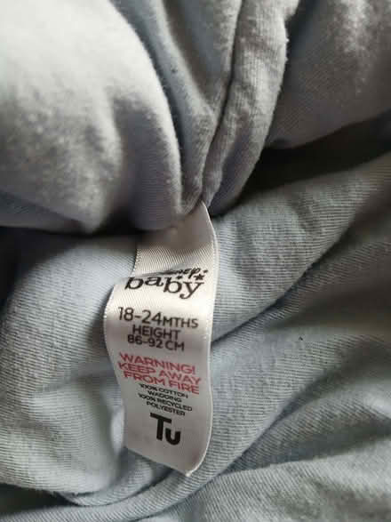 Photo of free Sleeping bag Disney 18-24 months (West Hill TN34) #3